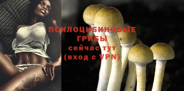 apvp Бугульма