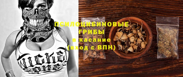 apvp Бугульма